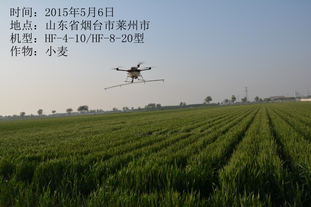 2015年5月6日市萊州市小麥作業